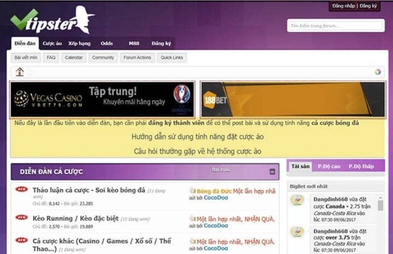 Vtipster là diễn đàn cá cược bóng đá thuần Việt